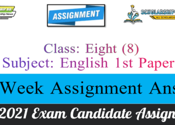 Class 8 English Assignment Answer