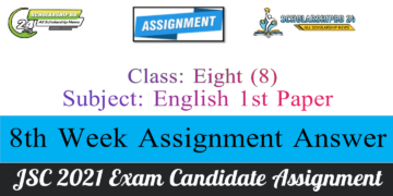 Class 8 English Assignment Answer