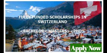 free three month internship